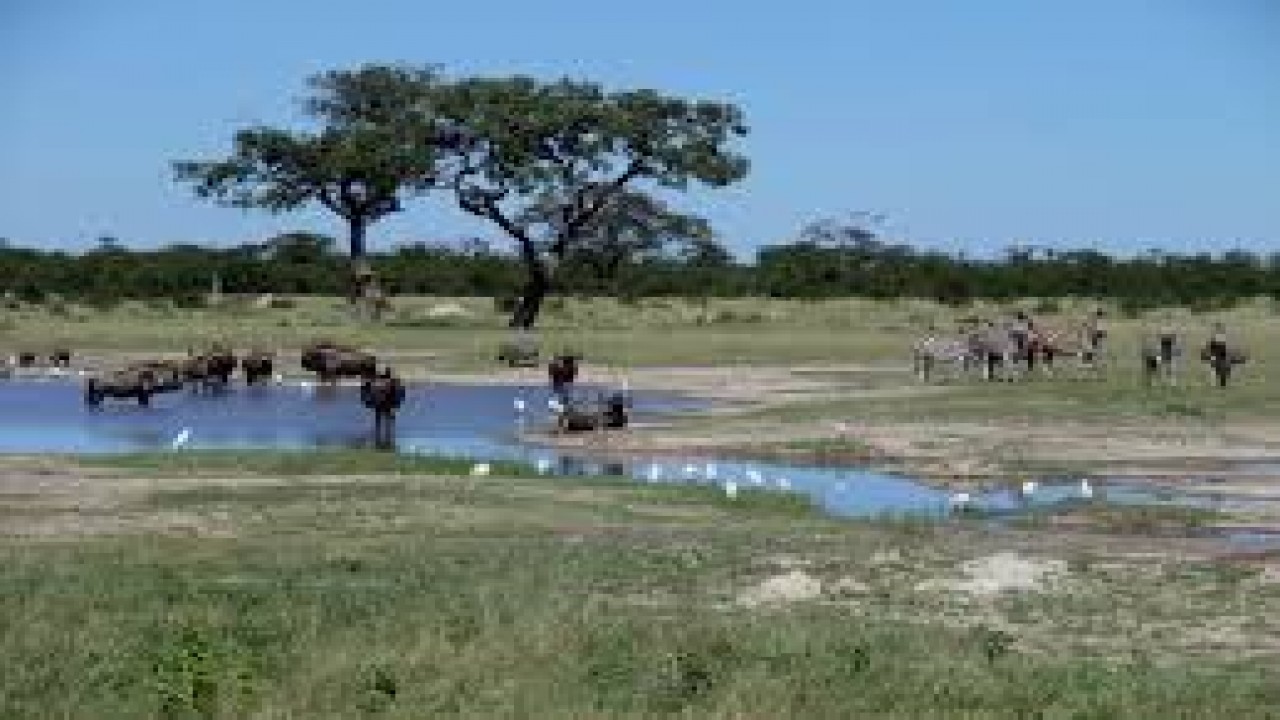 Nature Parks CHOBE RIVER Botswana