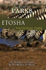 Nature Parks: Etosha, Namibia