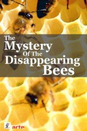 The Mystery of the Disappearing Bees