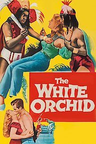 The White Orchid