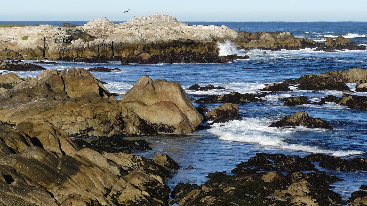 Ventana: Rocky Beaches