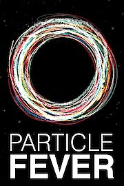 Particle Fever