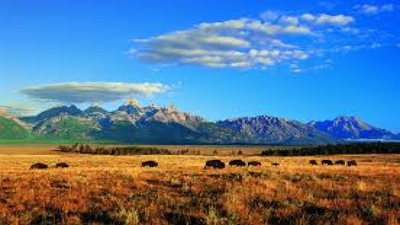 7 Days: Wyoming