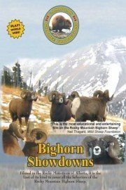Bighorn Showdowns