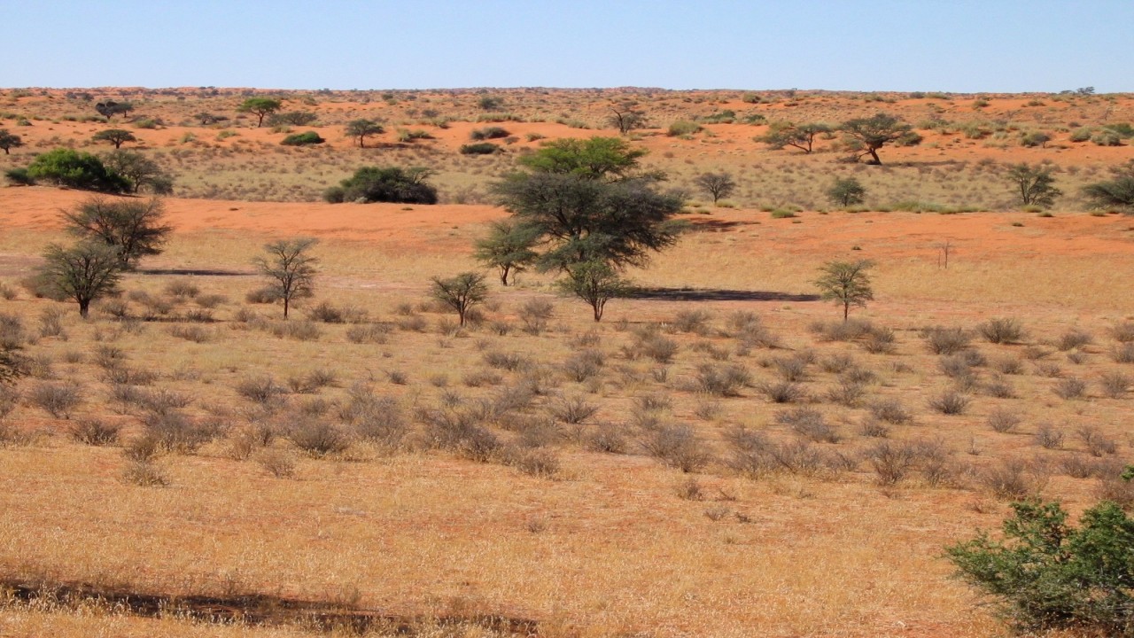 Nature Parks: Kalahari Desert