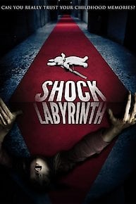 Shock Labyrinth