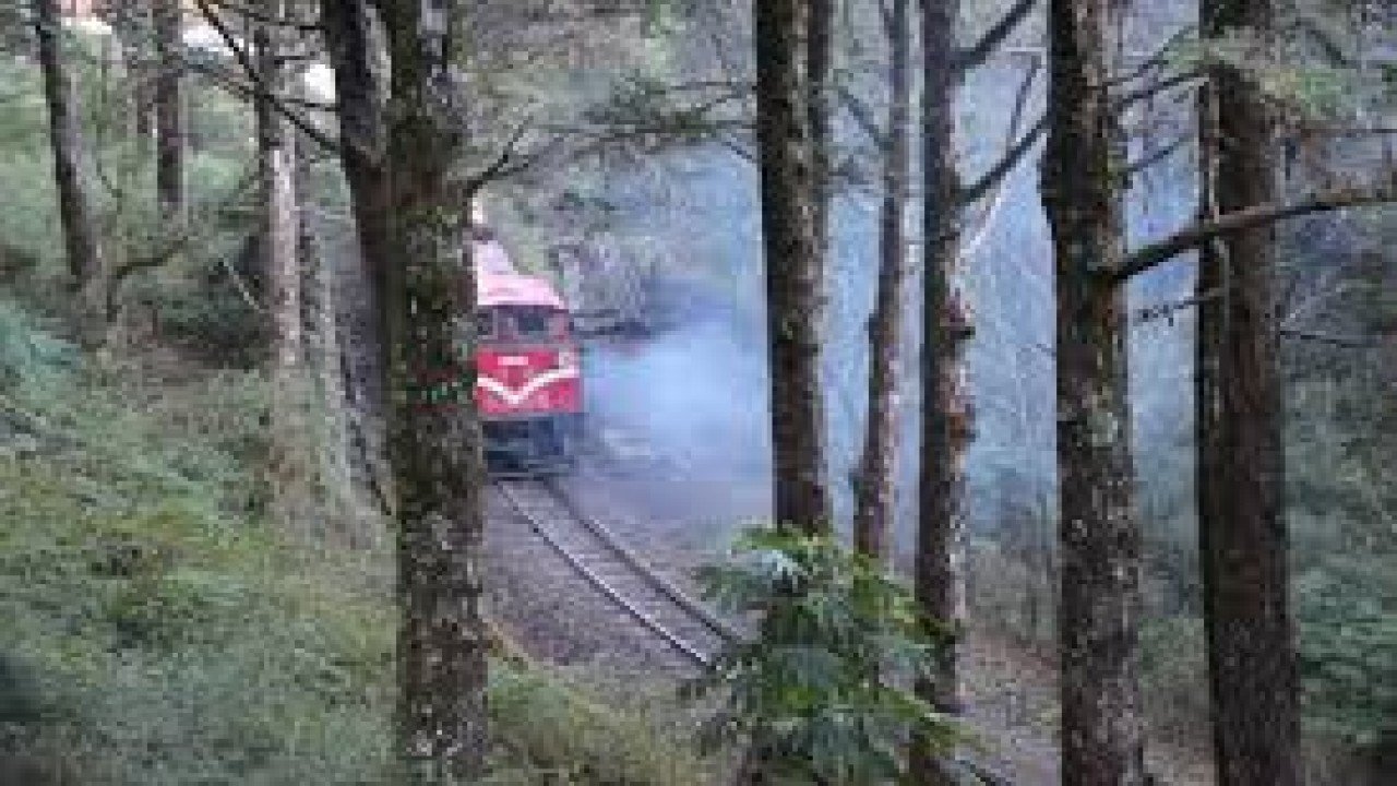 On Tour: The Alishan Forest Railway - A Journey By Narrow Gauge Into The Taiwanese Mountains