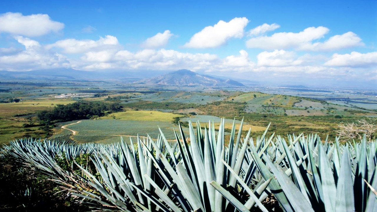 Vista Point: Jalisco, Guadalajara