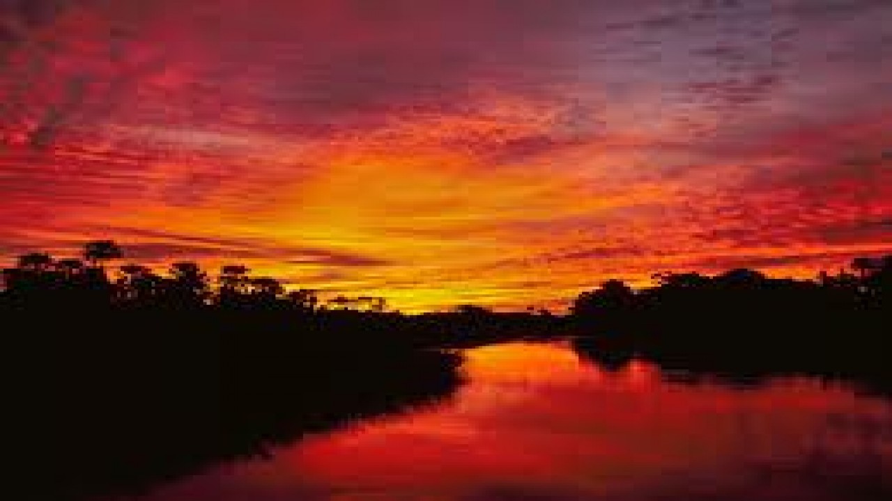 Nature Parks: Okavango Delta