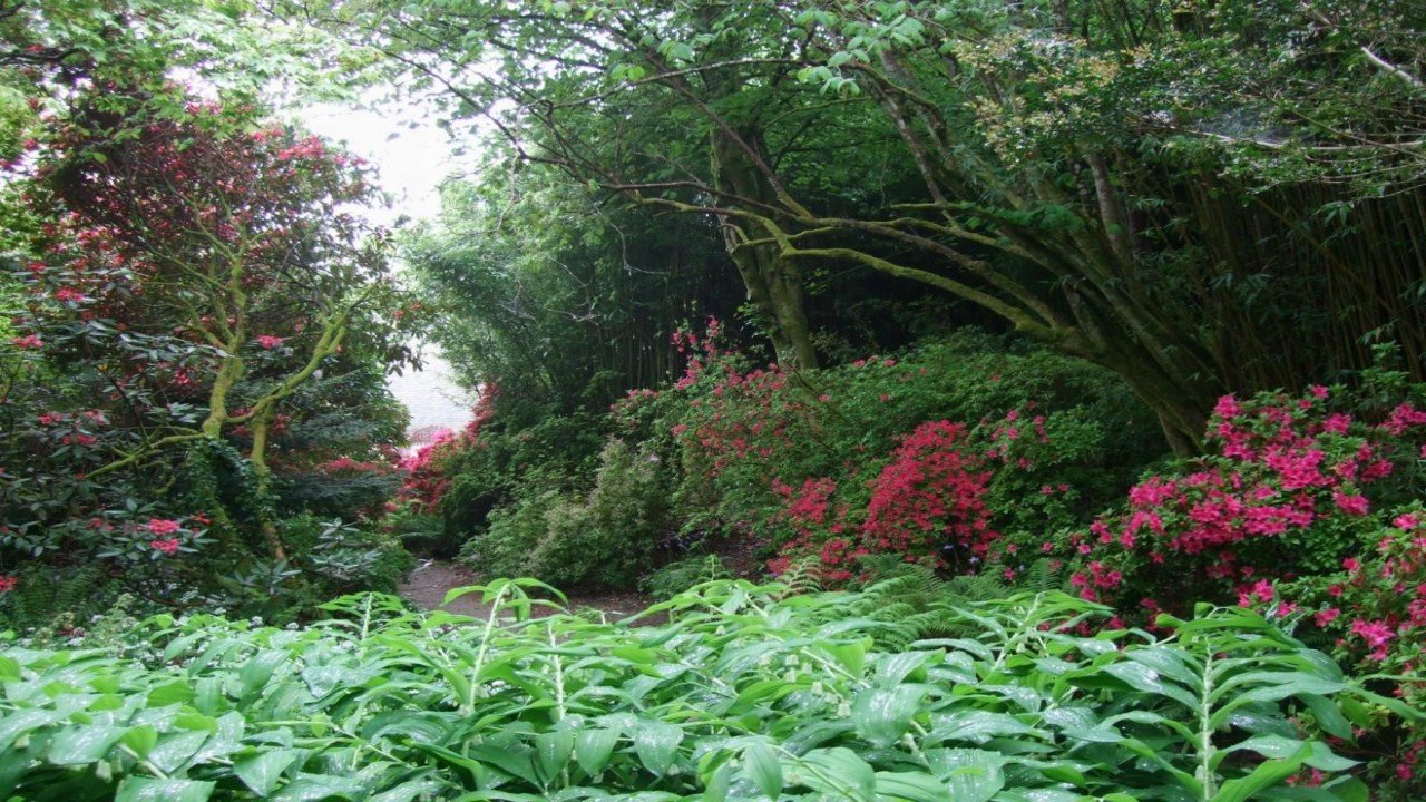 Gardens of the World: The Exotic Gardens of Cornwall