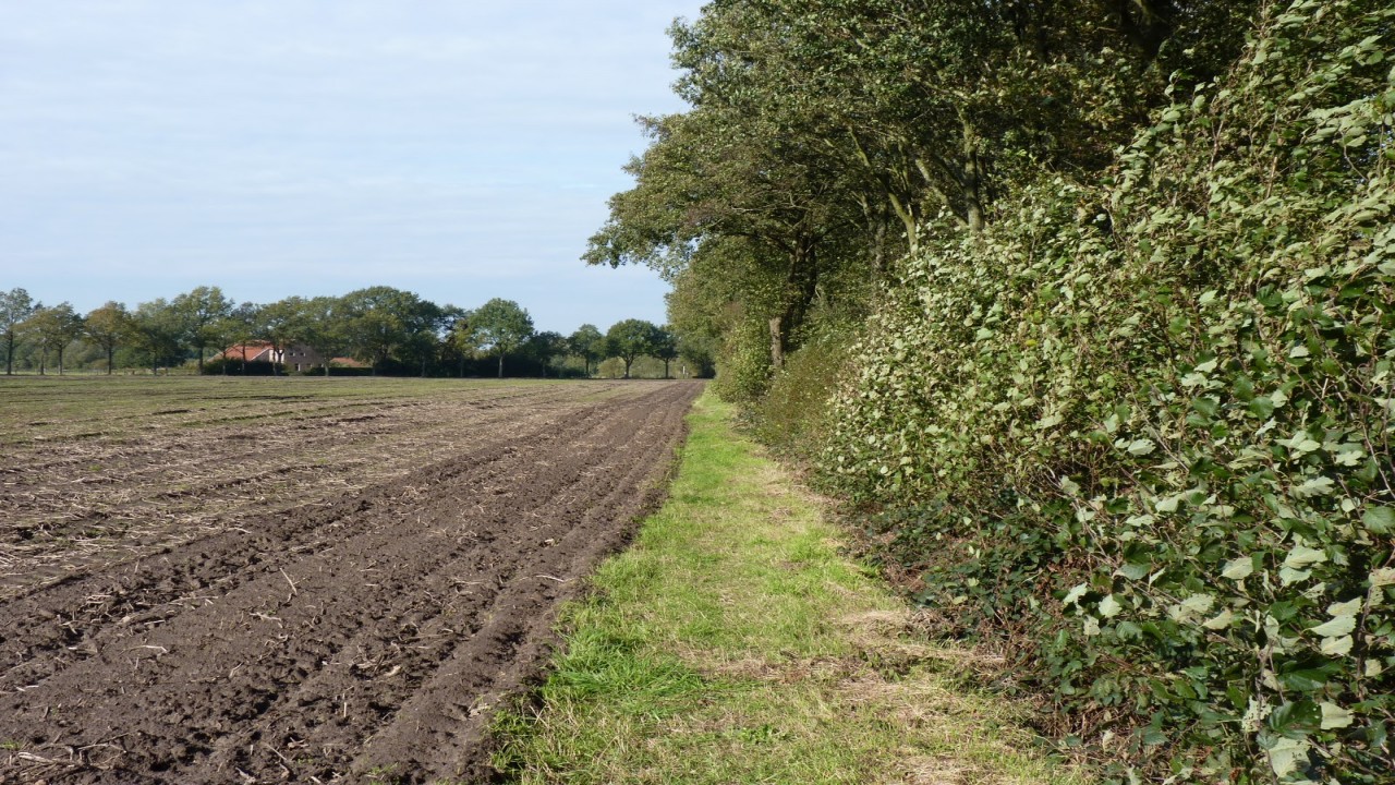 Back Roads of Europe: Westerwolde -The Netherlands