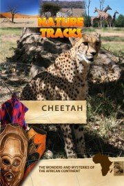 Nature Tracks: Cheetah
