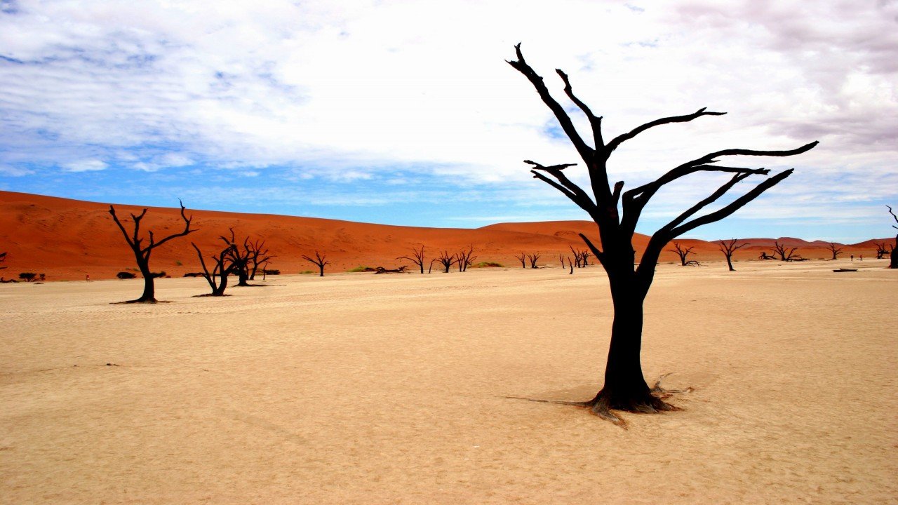 Nature Parks: Namib Naukluft