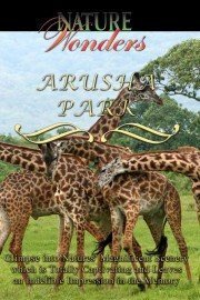 Nature Wonders: Arusha Park