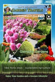 Garden Travels: Dahlias and Glendale Gardens
