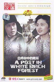 A Post In White Birch Forest