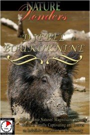 Nature Wonders: Djebel Boukornine