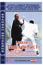 Taichi Agile Fist II