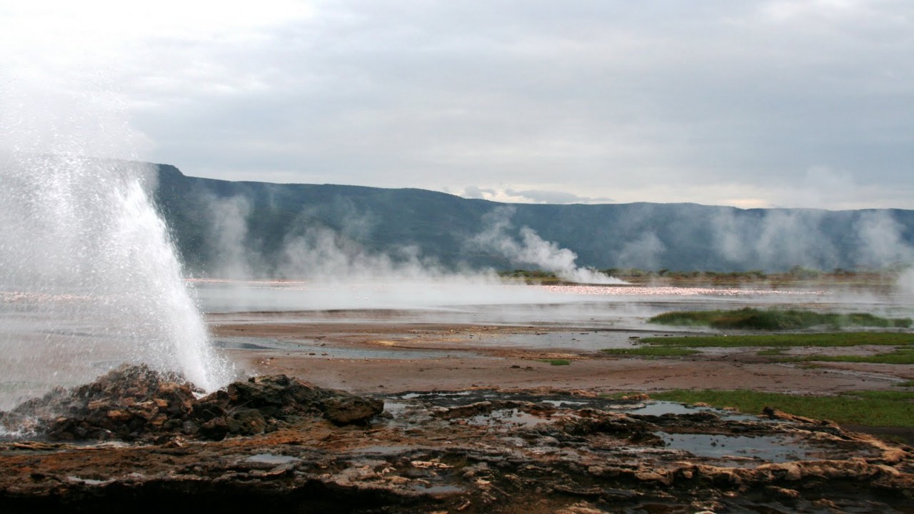 Nature Wonders: Lake Bogoria