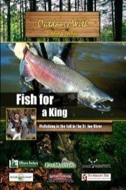 Outdoors with Eddie Brochin: Fish for a King - Flyfishing in the fall in the St. Joe River