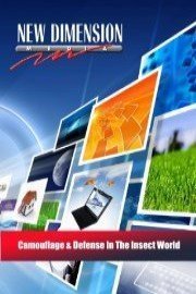 Camouflage & Defense In The Insect World