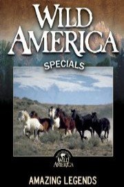 Wild America: Amazing Legends