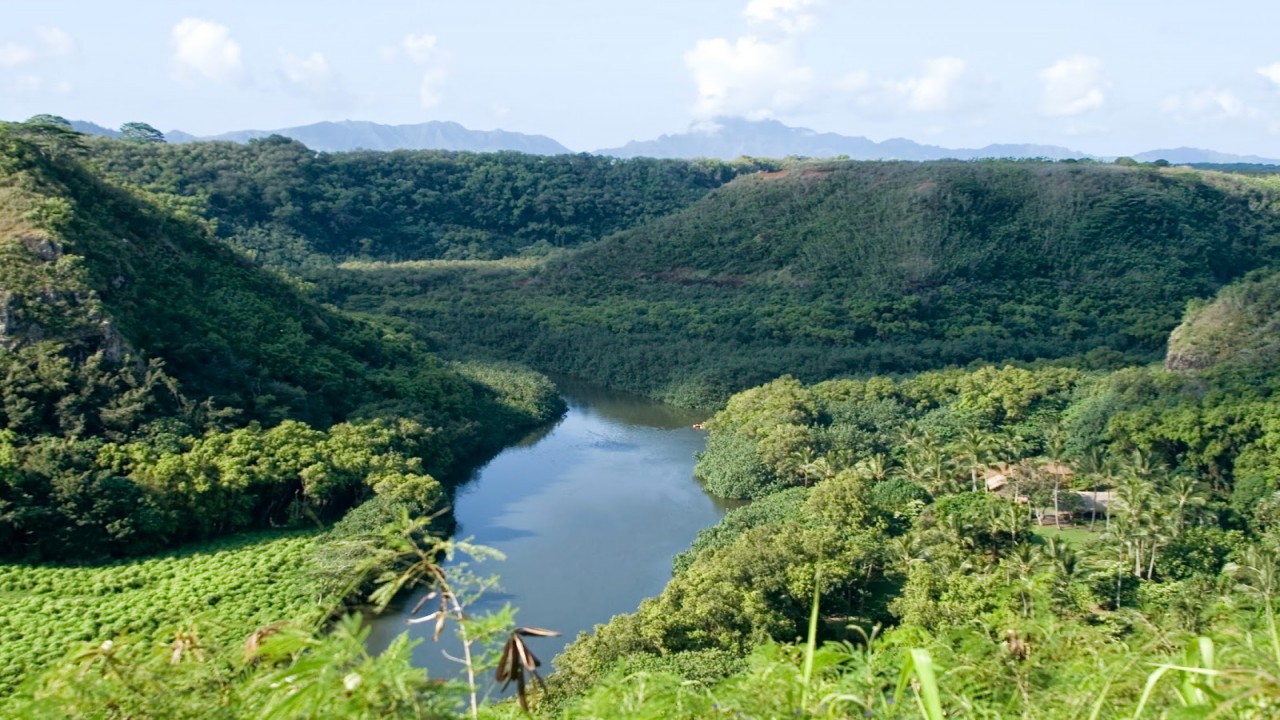 Garden Travels: Kauai Rainforest and Fragrant Lilacs