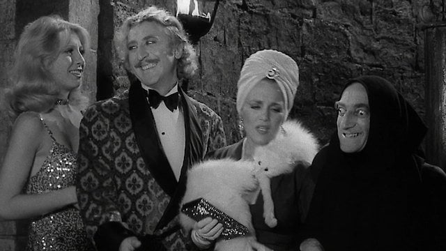 Young Frankenstein streaming: where to watch online?