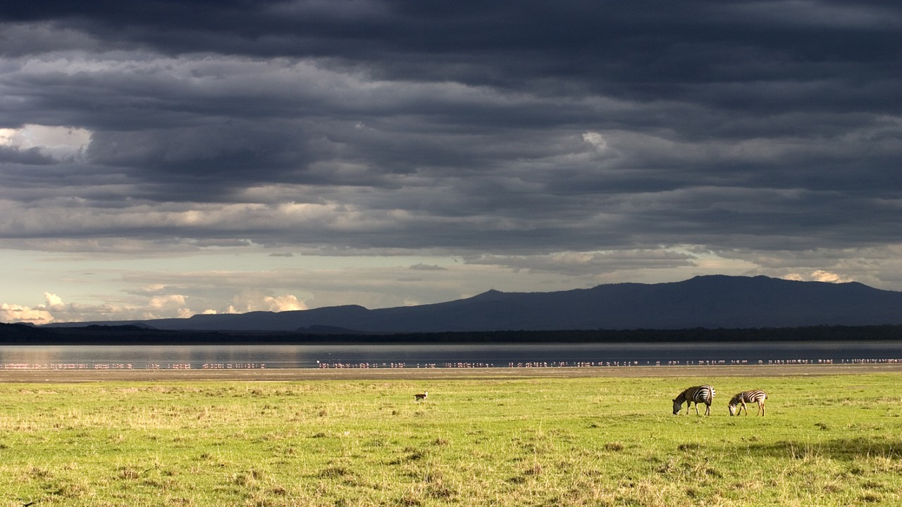 Nature Wonders: Nakuru Kenya