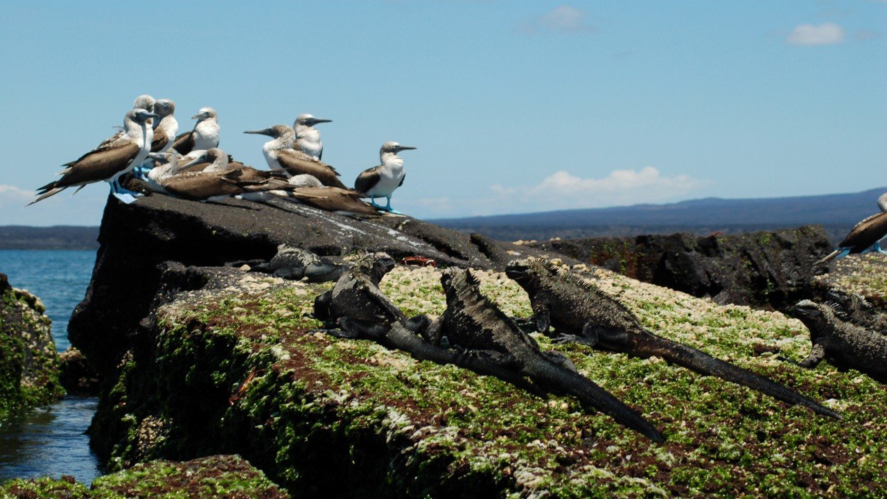 A Galapagos Adventure