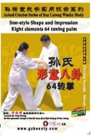 Sun-style Shape and impression Eight elements 64 tuning palm