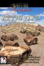 Nature Wonders: Petrified Forest U.S.A.