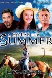 Horse for Summer