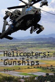 Helicopters: Gunships