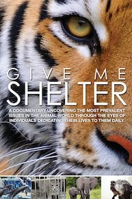 Give Me Shelter