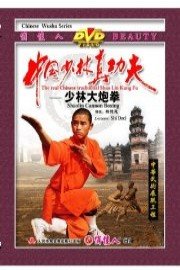 Shaolin Cannon Boxing