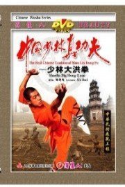 Shaolin Big Hong Quan