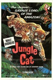 True Life Adventures: Jungle Cat