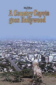 A Country Coyote Goes Hollywood