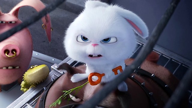 the secret life of pets watch online full movie free