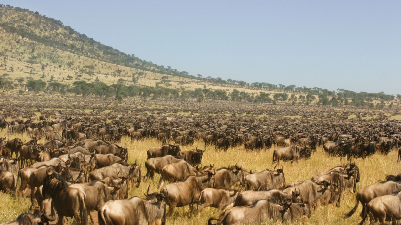 The Compulsive Traveler Adventure