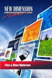 Flies & Other Dipterans