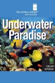Underwater Paradise