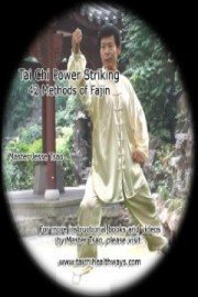 Tai Chi Power Striking 42 Methods of Fajin