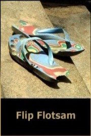 Flip Flotsam