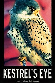 Kestrel's Eye
