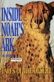 Inside Noah's Ark - Tales of the Desert