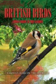 British Birds: Urban Birds in the Garden