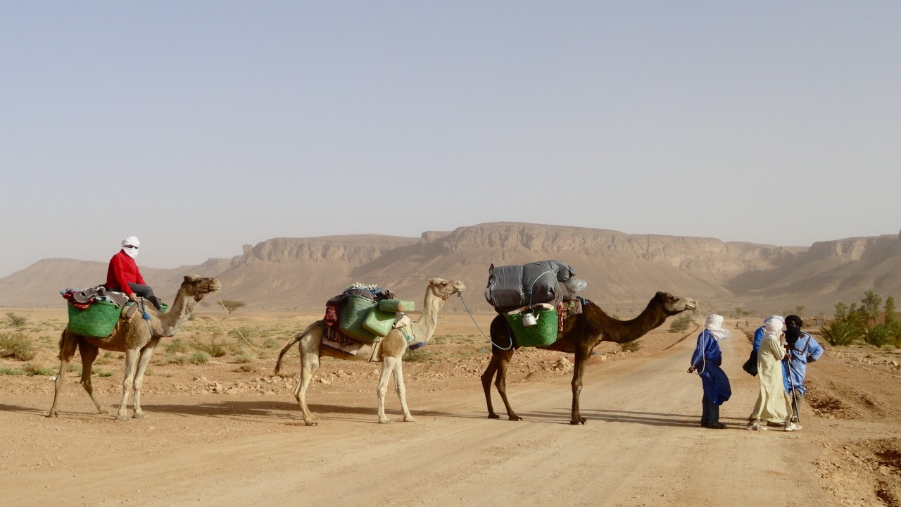 On Tour Exploring the Extraordinary: Sahara Safari