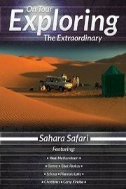 On Tour Exploring the Extraordinary: Sahara Safari